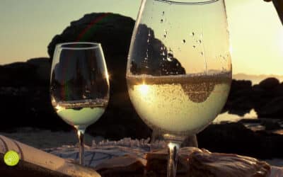 Turismo del vino en Rías Baixas